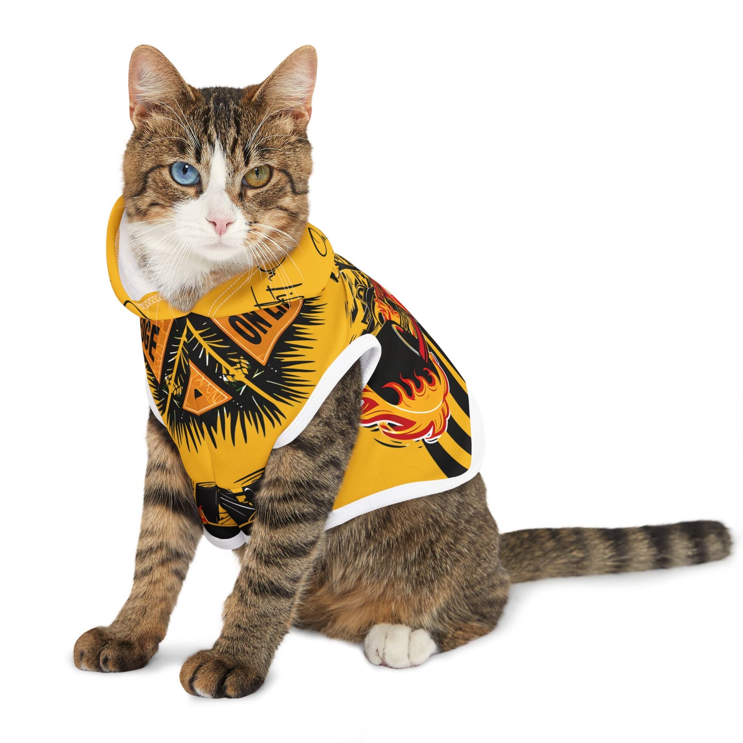O.L E Road-Culture Pet Hoodie