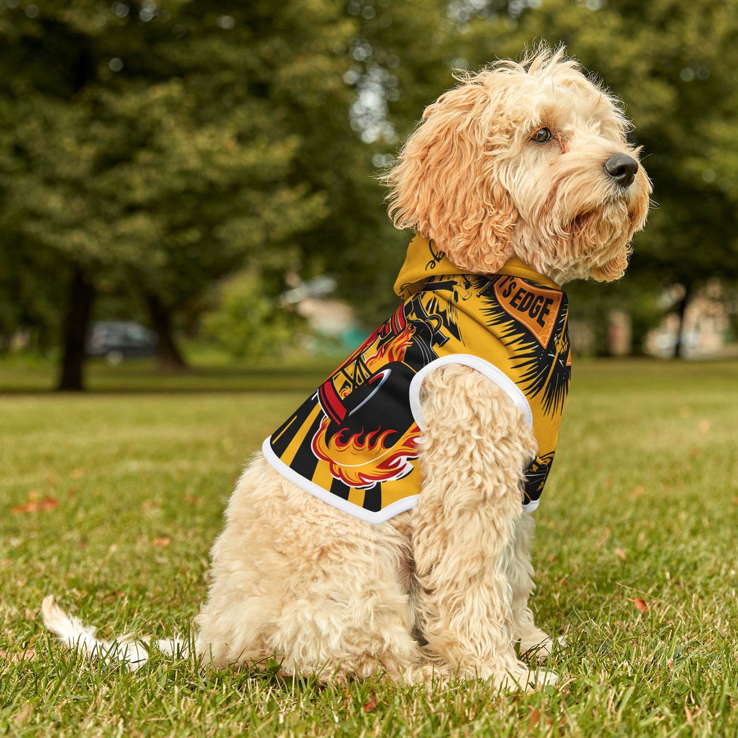 O.L E Road-Culture Pet Hoodie