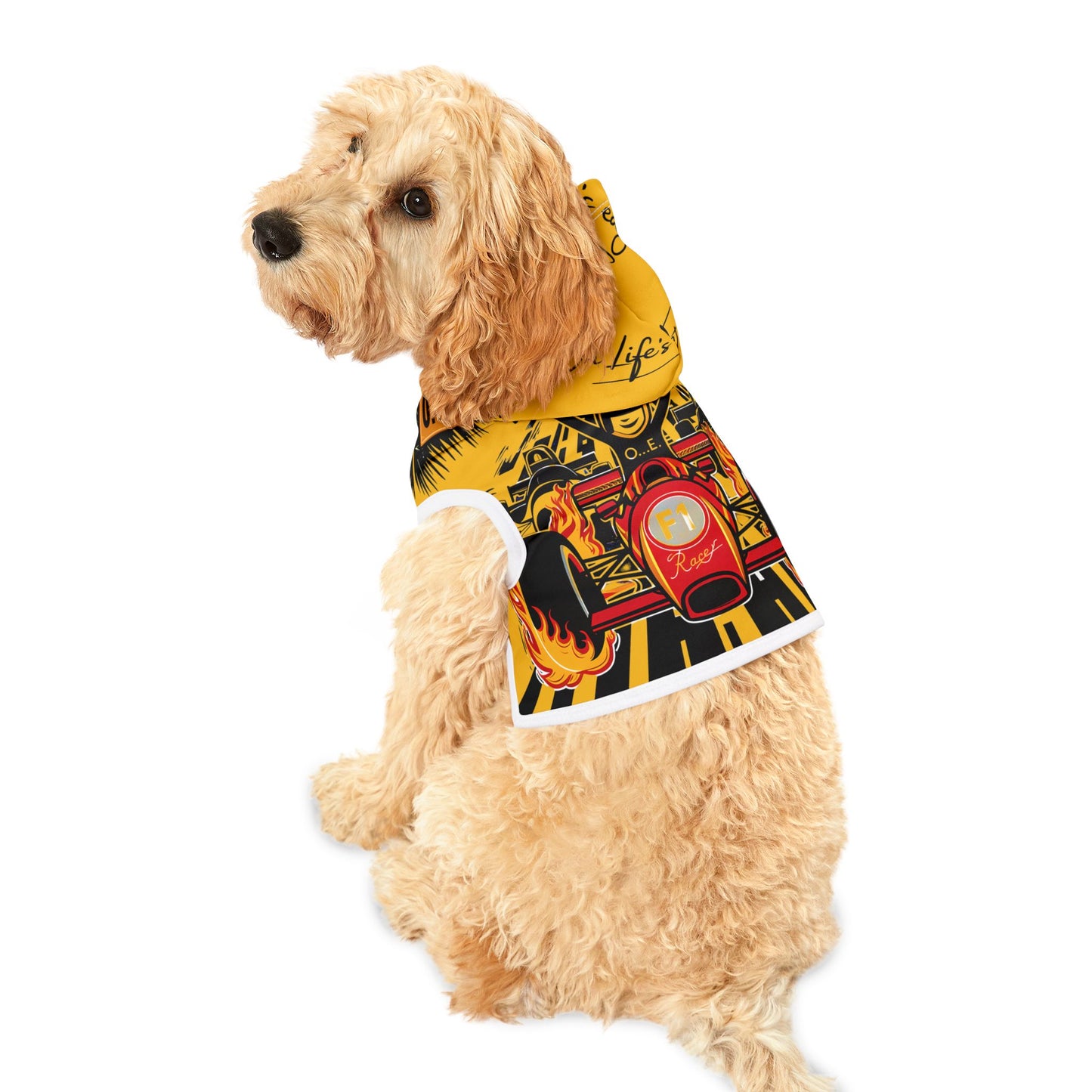 O.L E Road-Culture Pet Hoodie