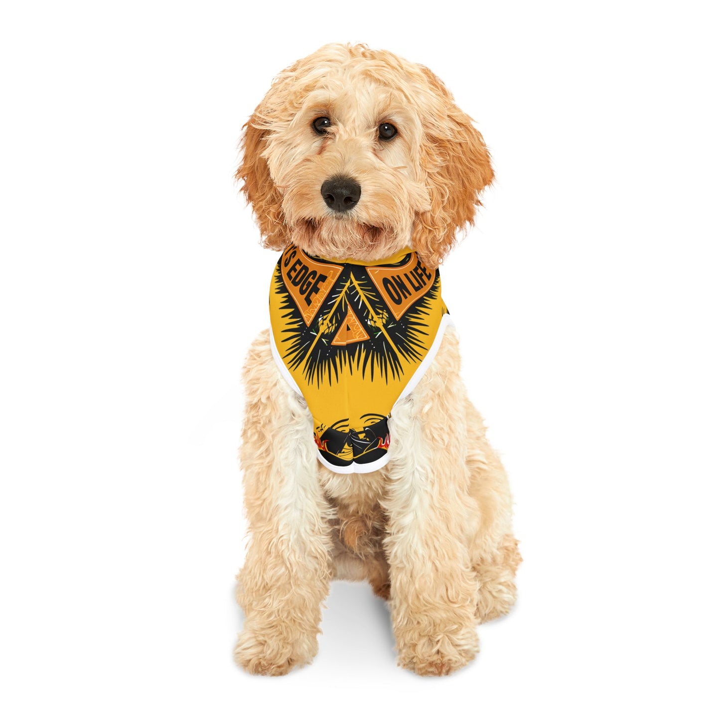O.L E Road-Culture Pet Hoodie